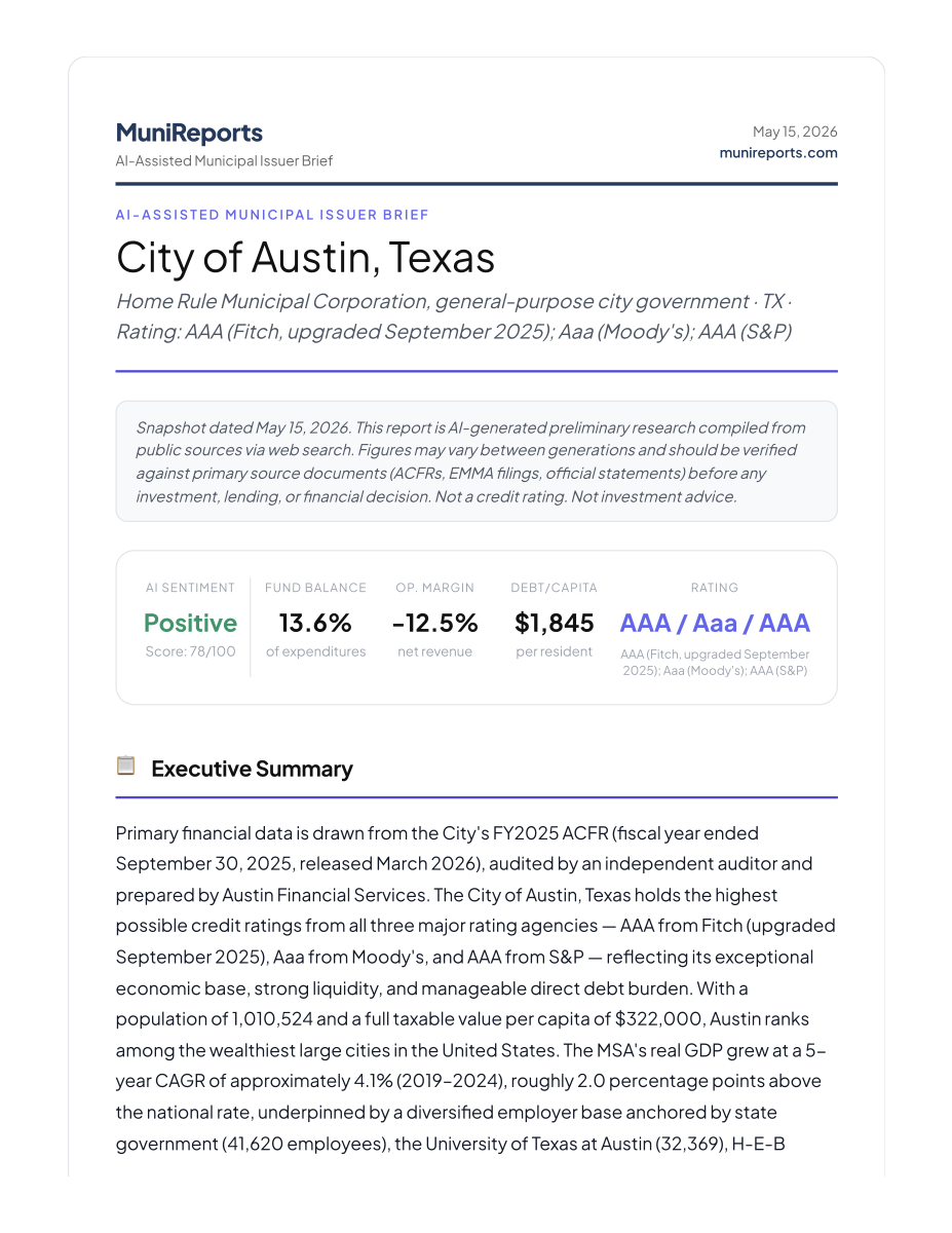 City of Austin sample credit brief — first page preview